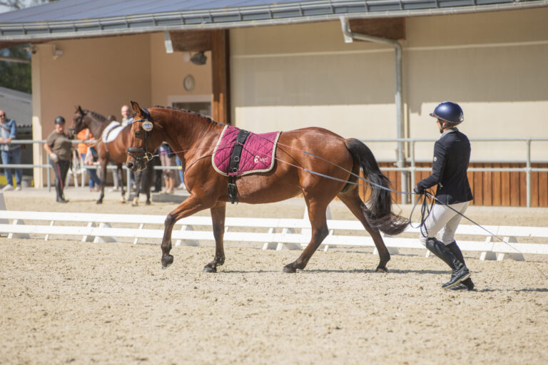 Concours LR La Foule 2025