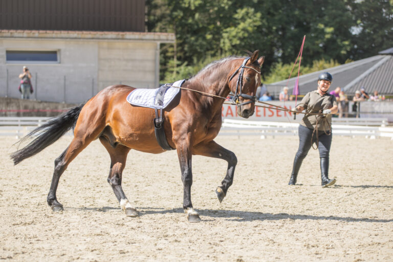 Concours LR La Foule 2025
