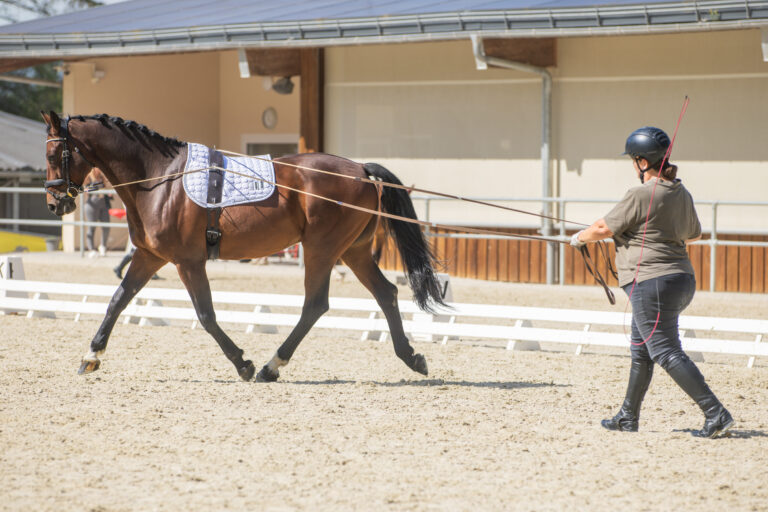 Concours LR La Foule 2025