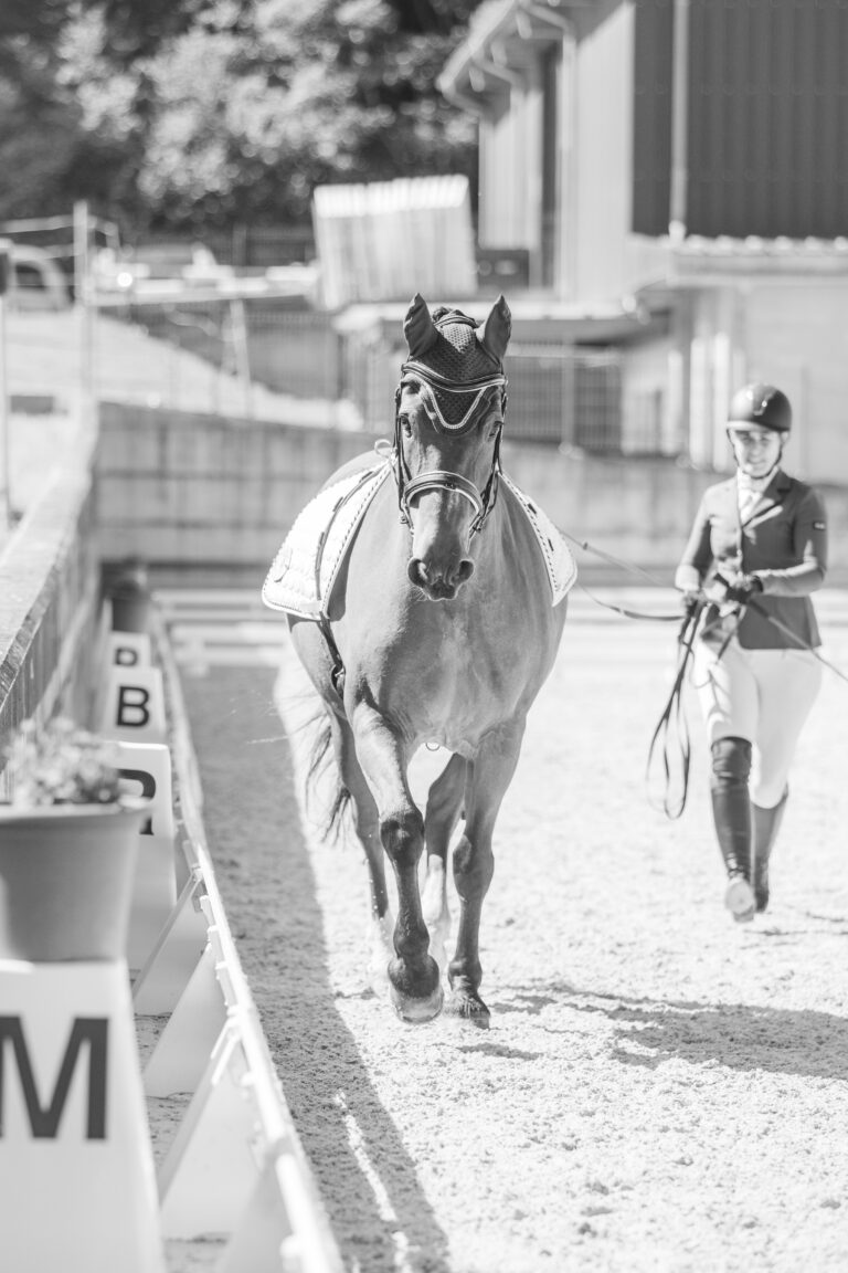 Concours LR La Foule 2025