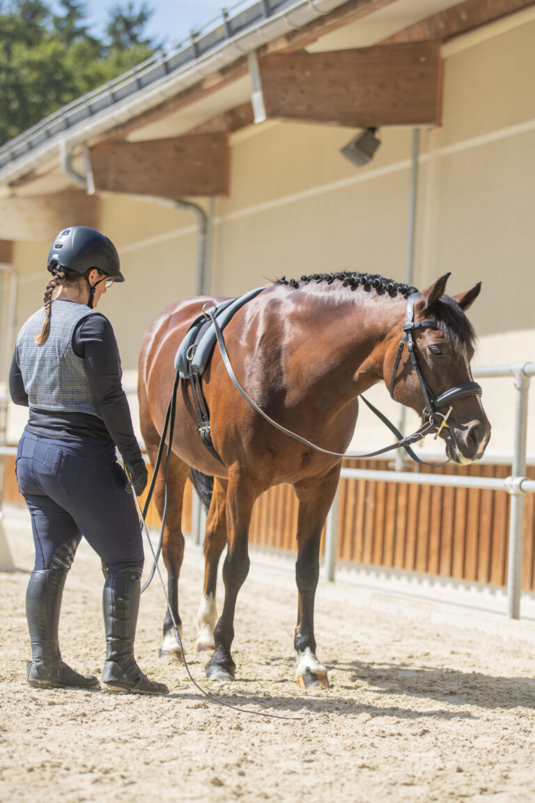 Concours LR La Foule 2025