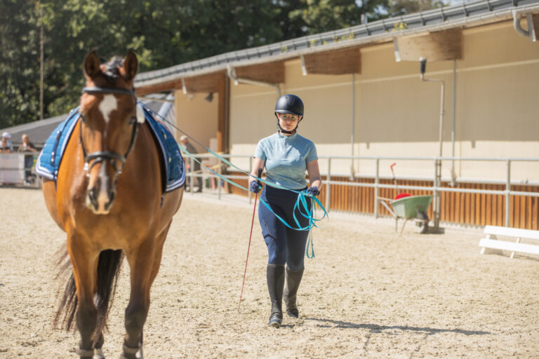 Concours LR La Foule 2025