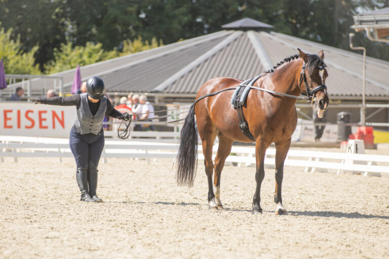 Concours LR La Foule 2025
