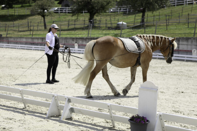 Présentation LR La Foule 2024