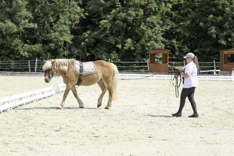Présentation LR La Foule 2024