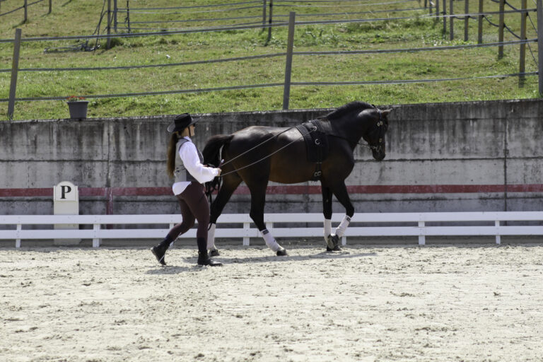Présentation LR La Foule 2024