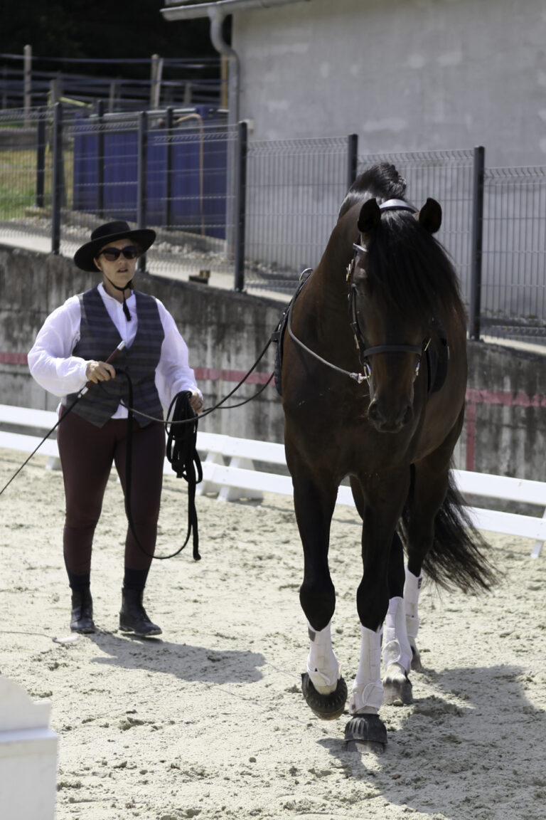 Présentation LR La Foule 2024
