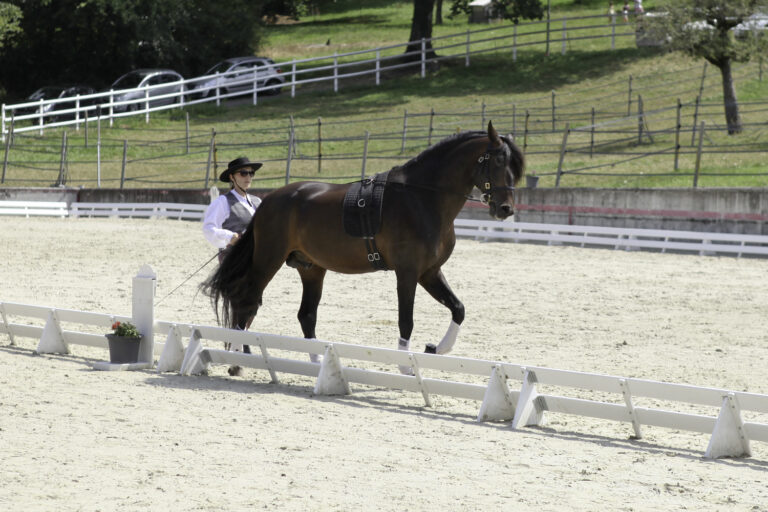 Présentation LR La Foule 2024