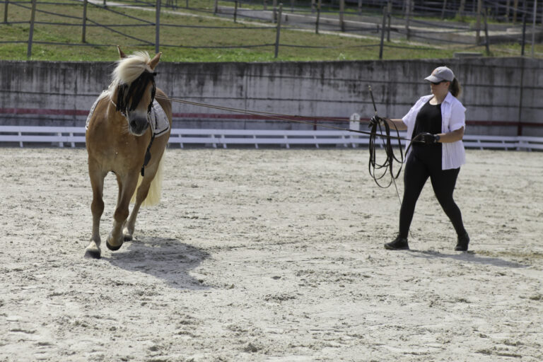 Présentation LR La Foule 2024