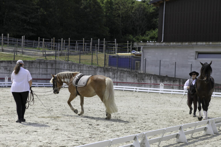 Présentation LR La Foule 2024