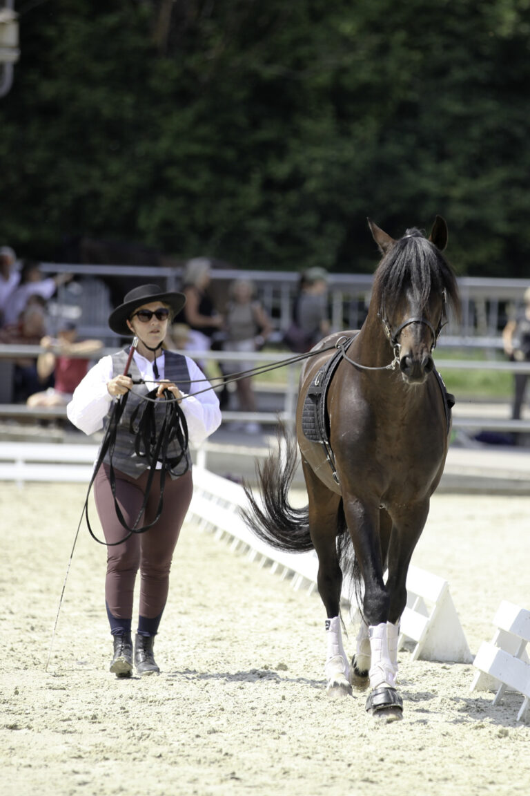 Présentation LR La Foule 2024