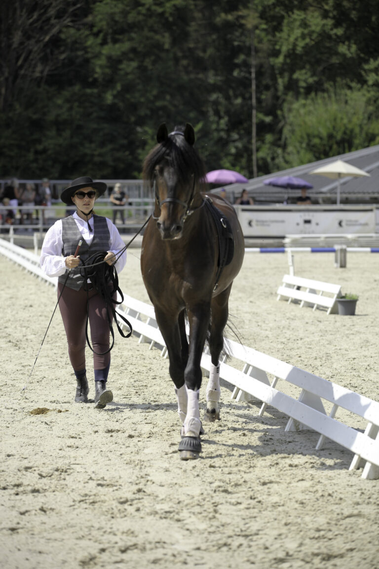 Présentation LR La Foule 2024