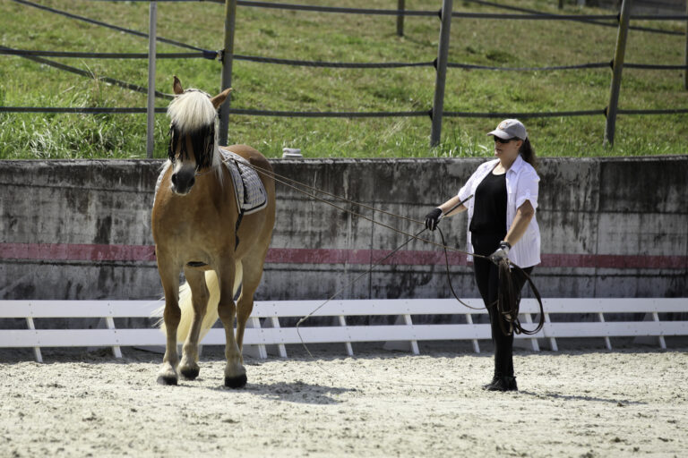 Présentation LR La Foule 2024