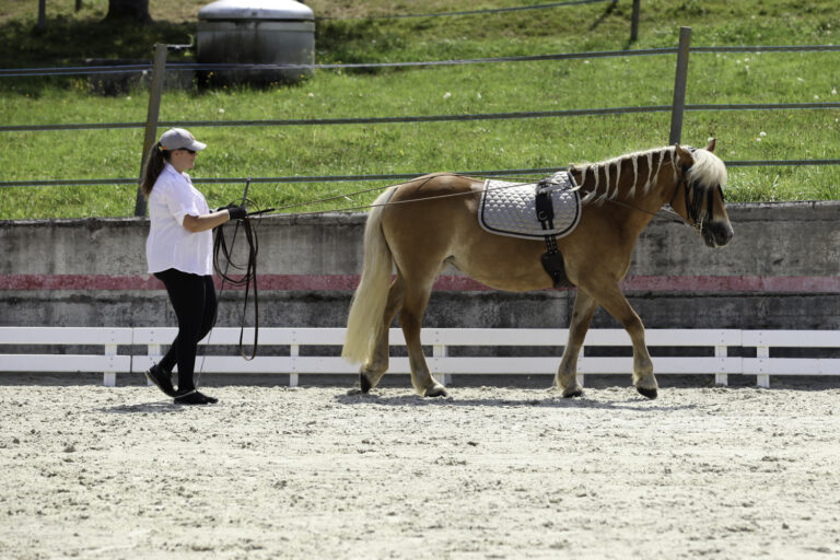 Présentation LR La Foule 2024