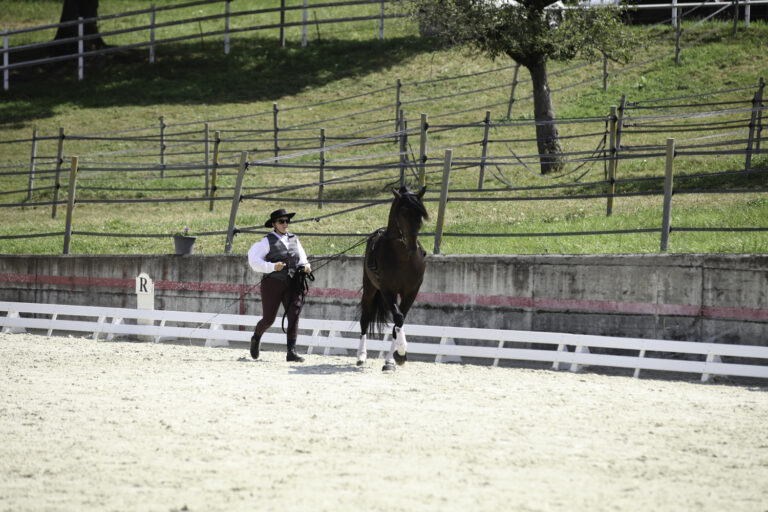 Présentation LR La Foule 2024