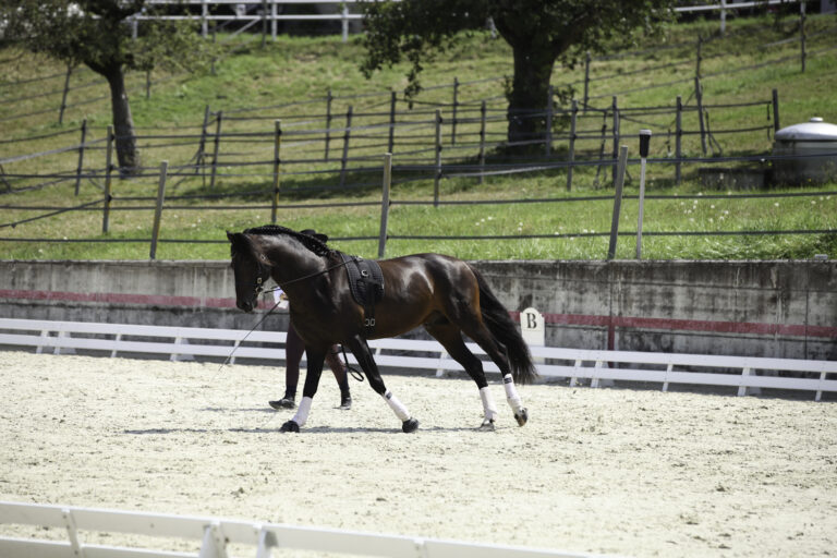 Présentation LR La Foule 2024