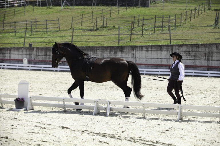 Présentation LR La Foule 2024