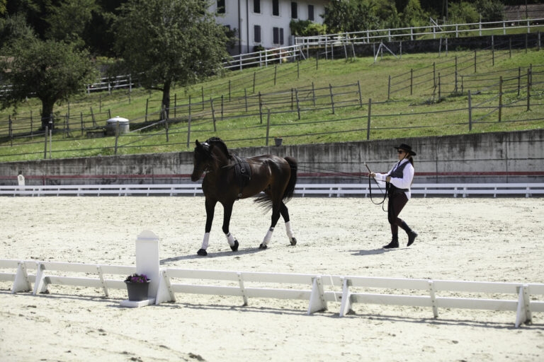 Présentation LR La Foule 2024